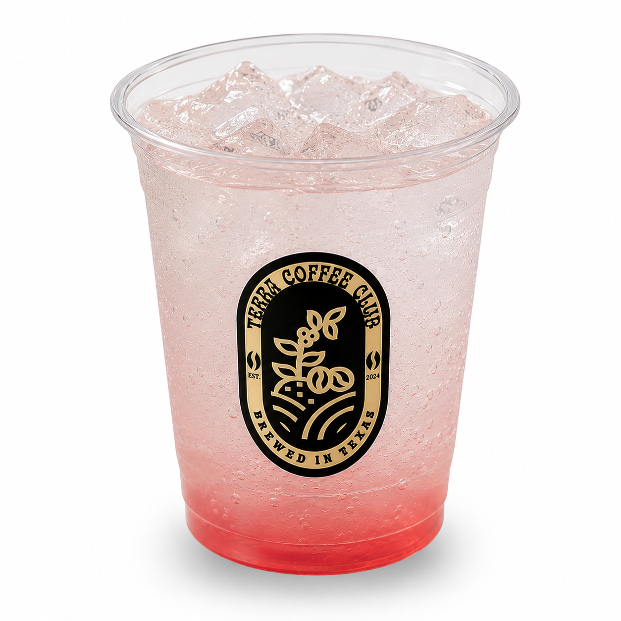 Fizz