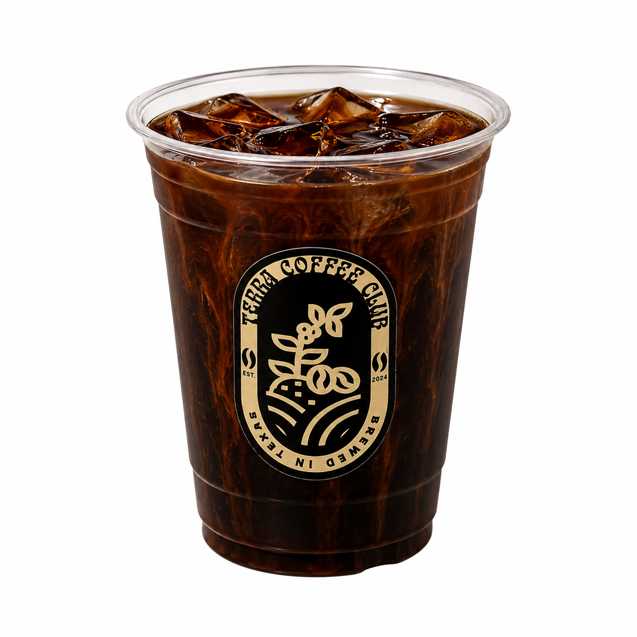 Cold Brew